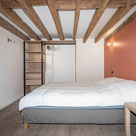 Apartment With Mezzanine Near The Train Station Lyon